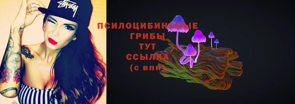 a pvp Аркадак